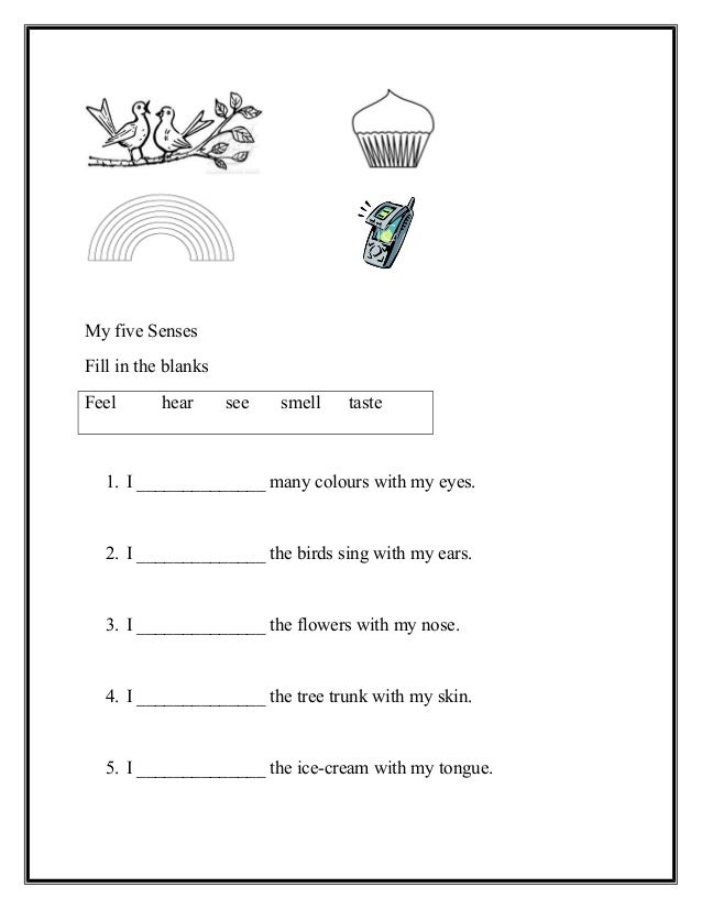 revision sheet grade kg3