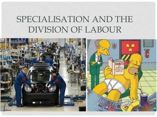 SPECIALISATION AND THE
DIVISION OF LABOUR

 