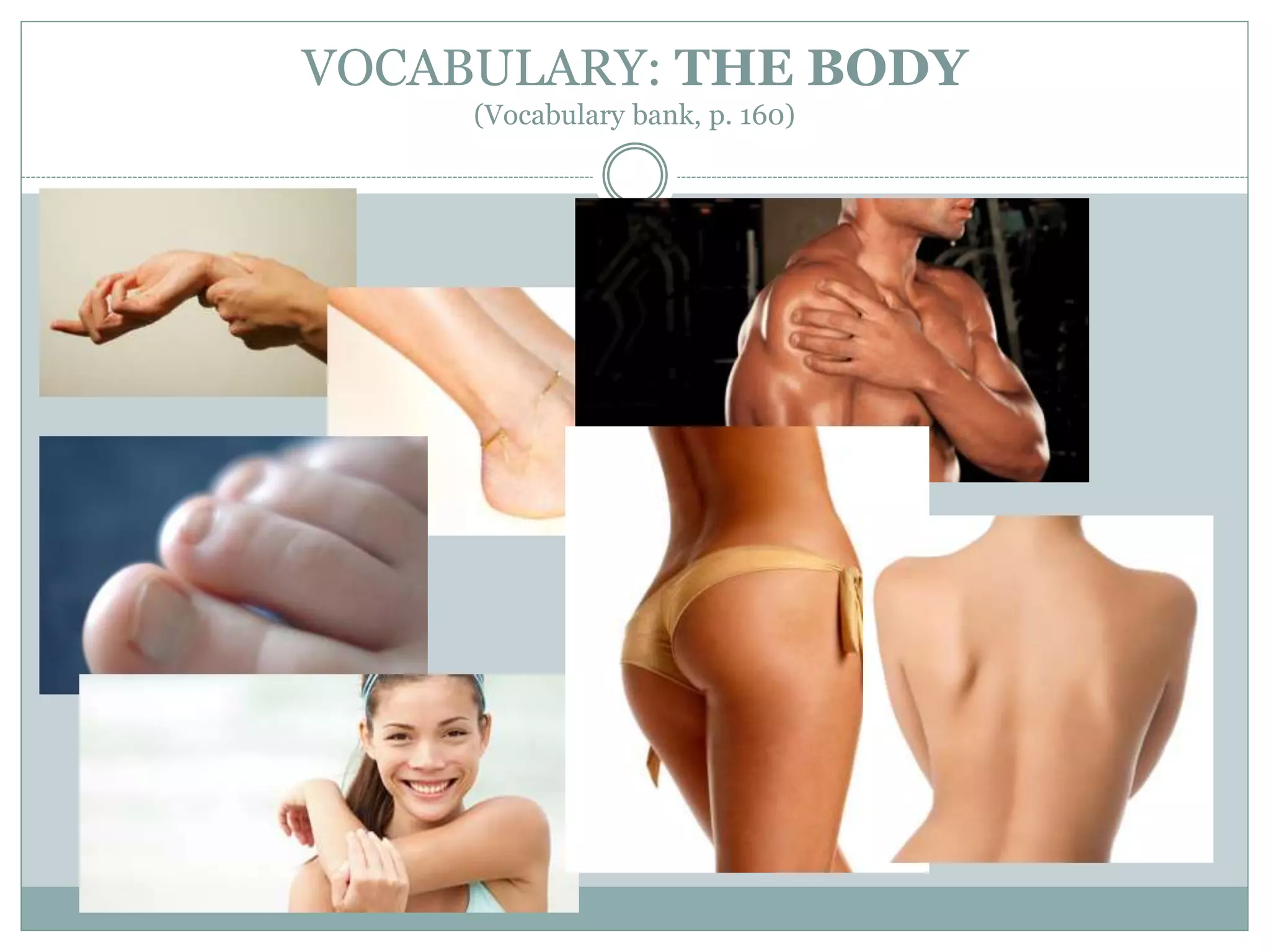 VOCABULARY: THE BODY
(Vocabulary bank, p. 160)
 