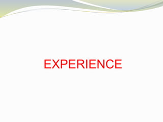 EXPERIENCE
 