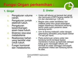 Fungsi Organ perkemihan :
1. Ginjal 2. Ureter
Kartinah/KDM/S1 keperawatan
2018
6
a. Pengaturan volume
cairan.
b. Pengatura...