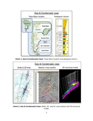 5
Chart 1. Gas & Condensate Case: Tarija Basin location and geological column.
Chart 2. Gas & Condensate Case: Wells, 2D seismic cross section and 3D structural
model.
 