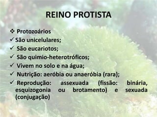 A maioria infecta tipos específicos de células;