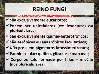 Podem ser heterótrofas ou autótrofas; Heterótrofas: respiração aeróbia e anaeróbia (fermentação); Autótrofas: quimiossíntese – fotossíntese