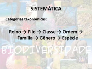 SISTEMÁTICACategorias taxonômicas:Reino -> Filo -> Classe -> Ordem -> Família -> Gênero -> Espécie