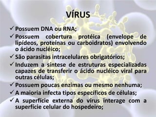 VÍRUSPossuem DNA ou RNA;