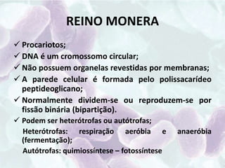 Induzem a síntese de estruturas especializadas capazes de transferir o ácido nucléico viral para outras células;