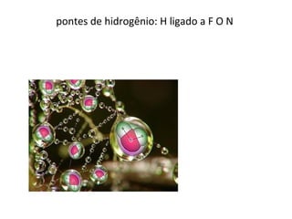 pontes de hidrogênio: H ligado a F O N
 