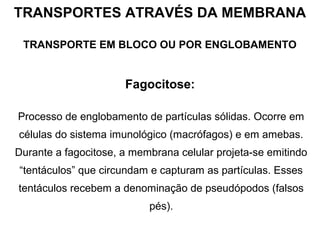 TRANSPORTES ATRAVÉS DA MEMBRANA
TRANSPORTE EM BLOCO OU POR ENGLOBAMENTO
Fagocitose:
Processo de englobamento de partículas sólidas. Ocorre em
células do sistema imunológico (macrófagos) e em amebas.
Durante a fagocitose, a membrana celular projeta-se emitindo
“tentáculos” que circundam e capturam as partículas. Esses
tentáculos recebem a denominação de pseudópodos (falsos
pés).
 