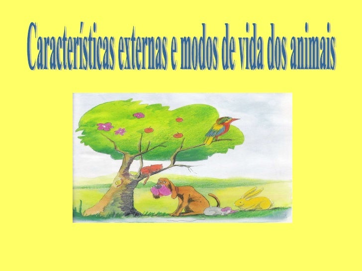 Recurso de revisao minuta