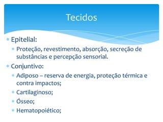 Tecidos
Epitelial:
Proteção, revestimento, absorção, secreção de
substâncias e percepção sensorial.

Conjuntivo:
Adiposo – reserva de energia, proteção térmica e
contra impactos;
Cartilaginoso;
Ósseo;
Hematopoiético;

 