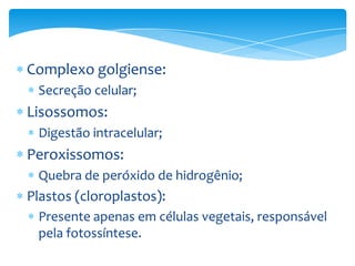 Complexo golgiense:
Secreção celular;

Lisossomos:
Digestão intracelular;

Peroxissomos:
Quebra de peróxido de hidrogênio;

Plastos (cloroplastos):
Presente apenas em células vegetais, responsável
pela fotossíntese.

 