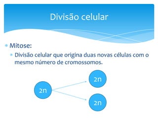 Divisão celular
Mitose:
Divisão celular que origina duas novas células com o
mesmo número de cromossomos.

2n
2n
2n

 