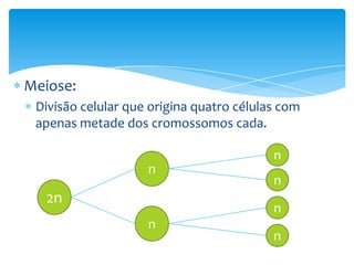 Meiose:
Divisão celular que origina quatro células com
apenas metade dos cromossomos cada.
n
n

2n

n
n

n

n

 
