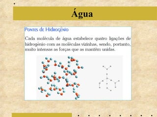 Água

 