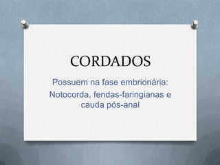 CORDADOS
Possuem na fase embrionária:
Notocorda, fendas-faringianas e
cauda pós-anal

 