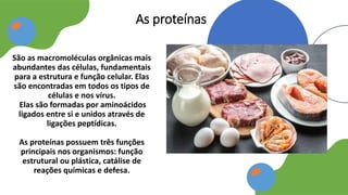 São as macromoléculas orgânicas mais
abundantes das células, fundamentais
para a estrutura e função celular. Elas
são encontradas em todos os tipos de
células e nos vírus.
Elas são formadas por aminoácidos
ligados entre si e unidos através de
ligações peptídicas.
As proteínas possuem três funções
principais nos organismos: função
estrutural ou plástica, catálise de
reações químicas e defesa.
As proteínas
 