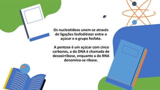 Os nucleotídeos unem-se através
de ligações fosfodiéster entre o
açúcar e o grupo fosfato.
A pentose é um açúcar com cinco
carbonos, a do DNA é chamada de
desoxirribose, enquanto a do RNA
denomina-se ribose.
 