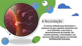 A fecundação
É o termo utilizado para denominar o
processo em que o gameta masculino une-
se ao feminino, o que inicia o
desenvolvimento do embrião. Por
envolver gametas, a fecundação é um
processo observado apenas na chamada
REPRODUÇÃO SEXUADA.
 