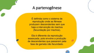 A partenogênese
É definida como o sistema de
reprodução onde as fêmeas
produzem descendentes sem que
haja a intervenção de machos
(fecundação por machos).
Ela é diferente da reprodução
assexuada, pois envolve a produção
de descendentes que passaram pela
fase de gameta não fecundado.
 