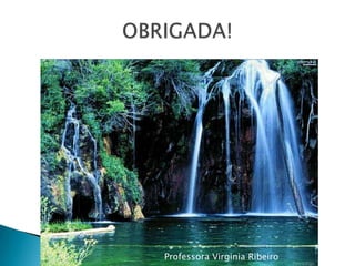 OBRIGADA!Professora Virginia Ribeiro