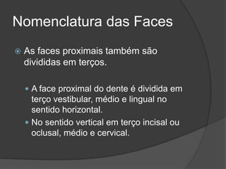 Nomenclatura das Faces
   As faces proximais também são
    divididas em terços.

     A face proximal do dente é dividida em
      terço vestibular, médio e lingual no
      sentido horizontal.
     No sentido vertical em terço incisal ou
      oclusal, médio e cervical.
 