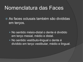 Nomenclatura das Faces
   As faces oclusais também são divididas
    em terços.

     No sentido mésio-distal o dente é dividido
      em terço mesial, médio e distal.
     No sentido vestíbulo-lingual o dente é
      dividido em terço vestibular, médio e lingual.
 