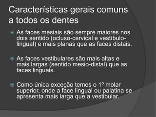 Características gerais comuns
a todos os dentes
   As faces mesiais são sempre maiores nos
    dois sentido (ocluso-cervical e vestíbulo-
    lingual) e mais planas que as faces distais.

   As faces vestibulares são mais altas e
    mais largas (sentido mesio-distal) que as
    faces linguais.

   Como única exceção temos o 1º molar
    superior, onde a face lingual ou palatina se
    apresenta mais larga que a vestibular.
 
