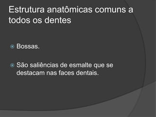 Estrutura anatômicas comuns a
todos os dentes

   Bossas.

   São saliências de esmalte que se
    destacam nas faces dentais.
 