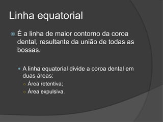 Linha equatorial
   É a linha de maior contorno da coroa
    dental, resultante da união de todas as
    bossas.

     A linha equatorial divide a coroa dental em
     duas áreas:
      ○ Área retentiva;
      ○ Área expulsiva.
 