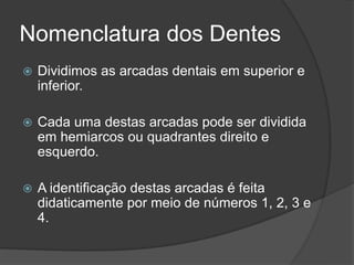 Nomenclatura dos Dentes
   Dividimos as arcadas dentais em superior e
    inferior.

   Cada uma destas arcadas pode ser dividida
    em hemiarcos ou quadrantes direito e
    esquerdo.

   A identificação destas arcadas é feita
    didaticamente por meio de números 1, 2, 3 e
    4.
 