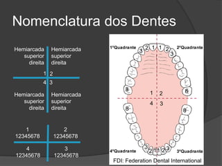 Nomenclatura dos Dentes
Hemiarcada     Hemiarcada                 2 1 1 2
                                      3
   superior    superior                                  3
     direita   direita
           1 2
           4 3
                                8                            8
Hemiarcada     Hemiarcada                     1   2
   superior    superior                       4   3
     direita   direita          8                            8


    1               2
12345678         12345678
                                          3
    4                3                        2 11 2 3
12345678         12345678
                            FDI: Federation Dental International
 