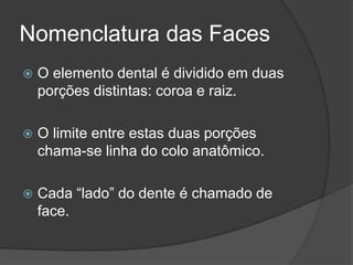 Nomenclatura das Faces
   O elemento dental é dividido em duas
    porções distintas: coroa e raiz.

   O limite entre estas duas porções
    chama-se linha do colo anatômico.

   Cada “lado” do dente é chamado de
    face.
 