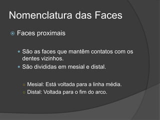 Nomenclatura das Faces
   Faces proximais

     São as faces que mantêm contatos com os
      dentes vizinhos.
     São divididas em mesial e distal.


      ○ Mesial: Está voltada para a linha média.
      ○ Distal: Voltada para o fim do arco.
 