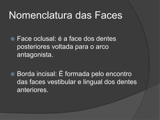 Nomenclatura das Faces

   Face oclusal: é a face dos dentes
    posteriores voltada para o arco
    antagonista.

   Borda incisal: É formada pelo encontro
    das faces vestibular e lingual dos dentes
    anteriores.
 