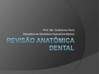 Prof. Ms. Guilherme Terra
Disciplina de Dentística Operatória Básica
 
