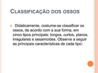 CLASSIFICAÇÃO DOS OSSOS
 Didaticamente, costuma-se classificar os
ossos, de acordo com a sua forma, em
cinco tipos principais: longos, curtos, planos,
irregulares e sesamoides. Observe a seguir
as principais características de cada tipo:
 