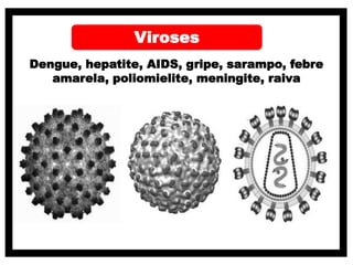 Viroses
Dengue, hepatite, AIDS, gripe, sarampo, febre
amarela, poliomielite, meningite, raiva
 