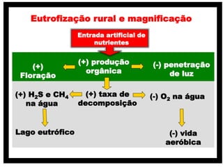 Eutrofização rural e magnificação
Entrada artificial de
nutrientes
(+) produção
orgânica
(+) taxa de
decomposição
(-) vida
aeróbica
(-) penetração
de luz
(+) H2S e CH4
na água
(-) O2 na água
Lago eutrófico
(+)
Floração
 