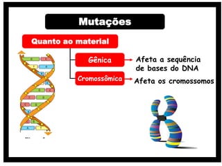 Quanto ao material
Gênica
Cromossômica
Afeta a sequência
de bases do DNA
Afeta os cromossomos
Mutações
 