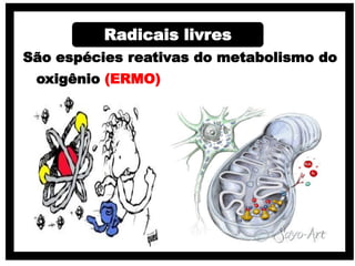 São espécies reativas do metabolismo do
oxigênio (ERMO)
Radicais livres
 