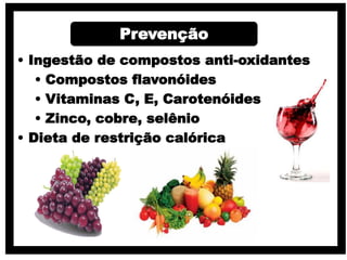 Prevenção
• Ingestão de compostos anti-oxidantes
• Compostos flavonóides
• Vitaminas C, E, Carotenóides
• Zinco, cobre, selênio
• Dieta de restrição calórica
 