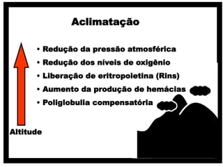 Altitude
• Redução da pressão atmosférica
• Redução dos níveis de oxigênio
• Liberação de eritropoietina (Rins)
• Aumento da produção de hemácias
• Poliglobulia compensatória
Aclimatação
 