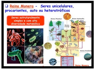  Reino Monera - Seres unicelulares,
procariontes, auto ou heterotróficos
Reino Monera
Seres estruturalmente
simples e com alta
diversidade metabólica
 