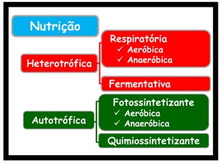 Heterotrófica
Respiratória
 Aeróbica
 Anaeróbica
Fermentativa
Autotrófica
Fotossintetizante
 Aeróbica
 Anaeróbica
Quimiossintetizante
Nutrição
 