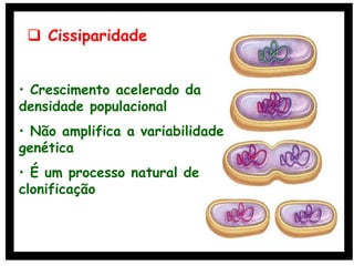  Cissiparidade
• Crescimento acelerado da
densidade populacional
• Não amplifica a variabilidade
genética
• É um processo natural de
clonificação
 