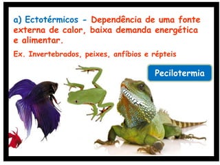 a) Ectotérmicos - Dependência de uma fonte
externa de calor, baixa demanda energética
e alimentar.
Ex. Invertebrados, peixes, anfíbios e répteis
Pecilotermia
 