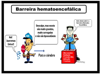 Barreira hematoencefálica
 