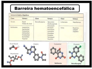 Barreira hematoencefálica
 