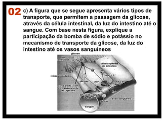 02 c) A figura que se segue apresenta vários tipos de
transporte, que permitem a passagem da glicose,
através da célula intestinal, da luz do intestino até o
sangue. Com base nesta figura, explique a
participação da bomba de sódio e potássio no
mecanismo de transporte da glicose, da luz do
intestino até os vasos sanguíneos
 
